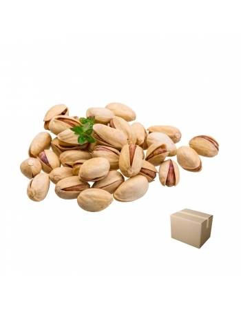 PISTACHE INTEIRO COM CASCA TORRADO E SALGADO IRANIANO CX 10KG
