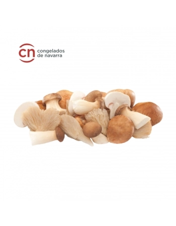 MIX DE COGUMELOS CONGELADOS IQF NAVARRA 1KG