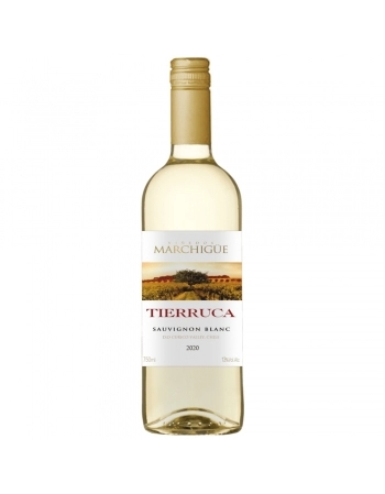 VINHO TIERRUCA SAUVIGNON BLANC BRANCO 750ML (AVARIA)