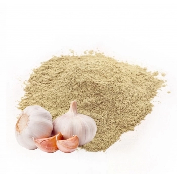 ALHO DESIDRATADO EM PO MONCHEF SC 250G