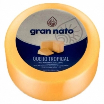 QUEIJO PARMESAO 3M GRANNATO 5KG