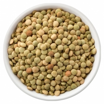 LENTILHA CANADENSE PC 1KG