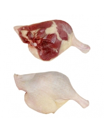 COXA E SOBRECOXA DE PATO CONGELADO VILLA GERMANIA 480G (2UND ±240G)(CX 7,68KG)P.FIXO